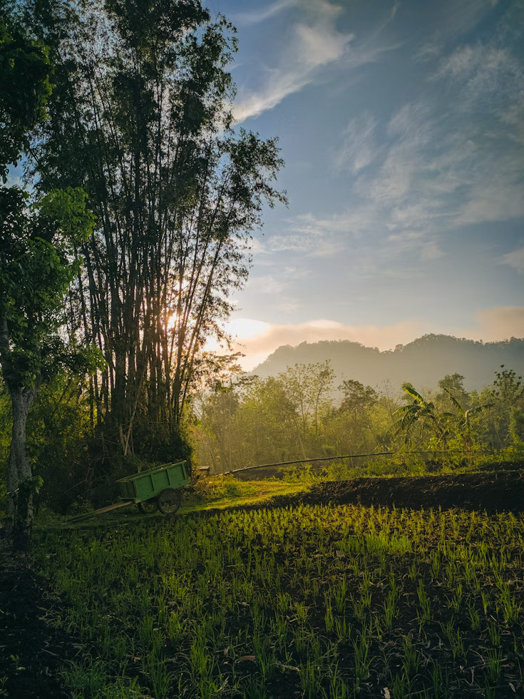nature-img